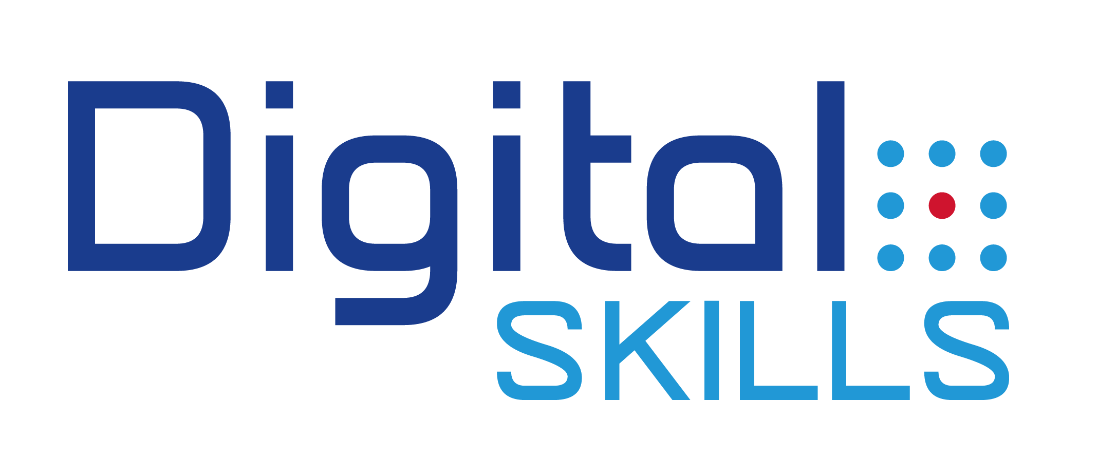 Digital Skills